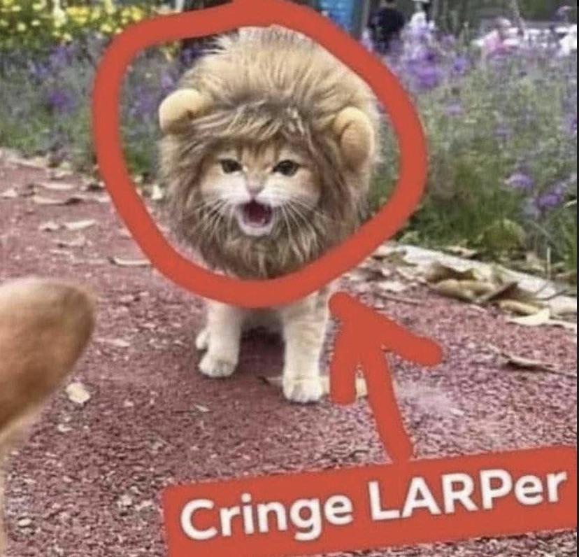 Ferdi Bechtold tweet media