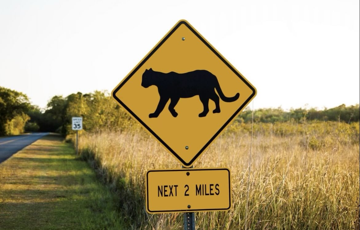 Nathan Shaffer tweet media