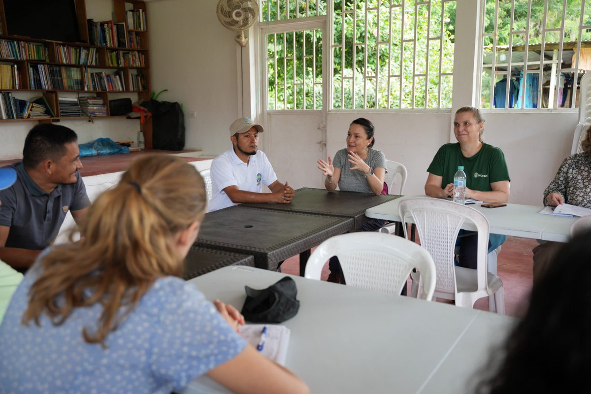 JimenaPuyana's tweet photo. @PnudColombia @NoruegaenCOL @noradno @pnud @PNUDLAC Luego visitamos COMUCOM, donde apreciamos su conocimiento en restauración productiva y en el rescate de especies de la selva en peligro de extinción. Su trabajo demuestra cómo la reincorporación también se traduce en cuidado del territorio, la biodiversidad y construcción de paz. https://t.co/DzwcktemJM
