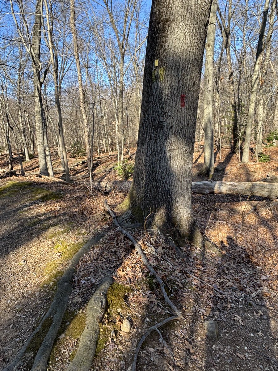 Josh Beckerman tweet media