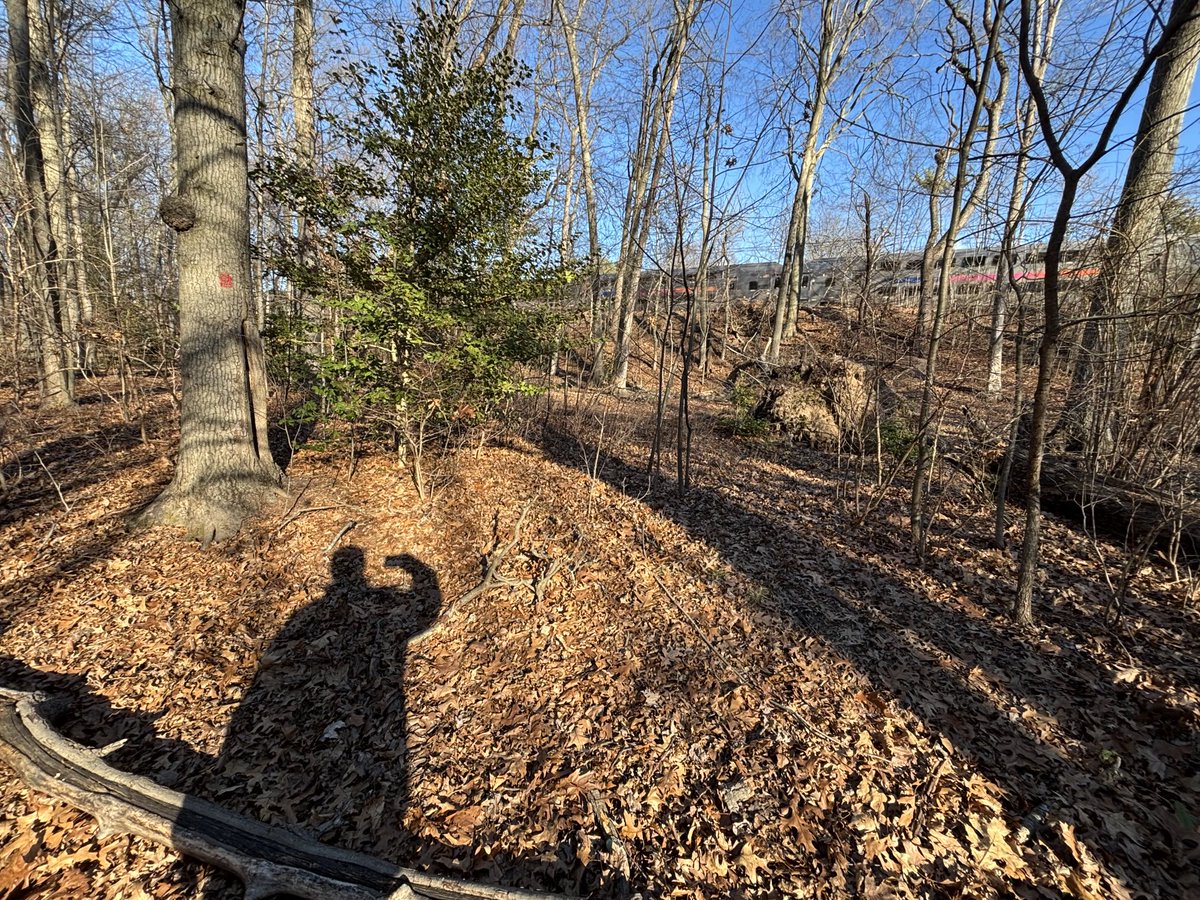 Josh Beckerman tweet media