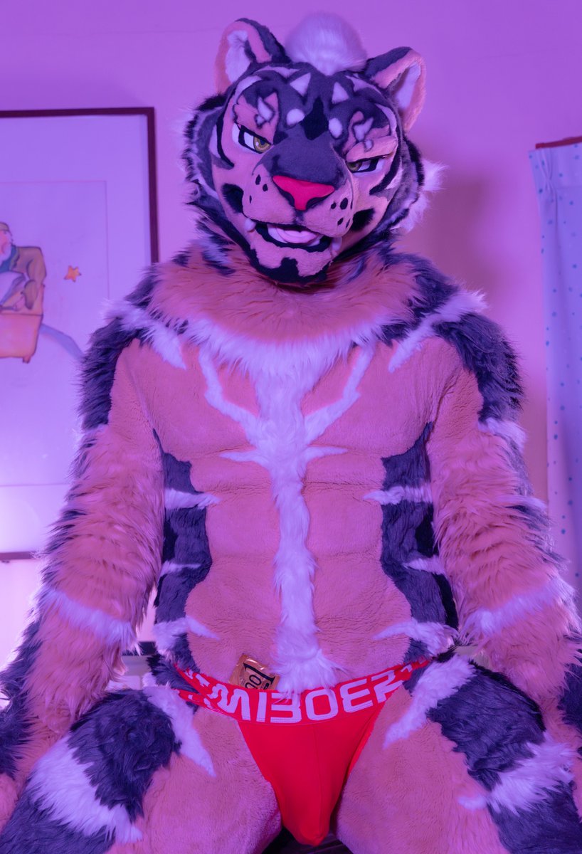 Zephyr🔜 Thaitails🇹🇭 tweet media