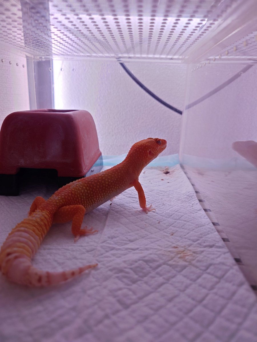 山と海 tweet media