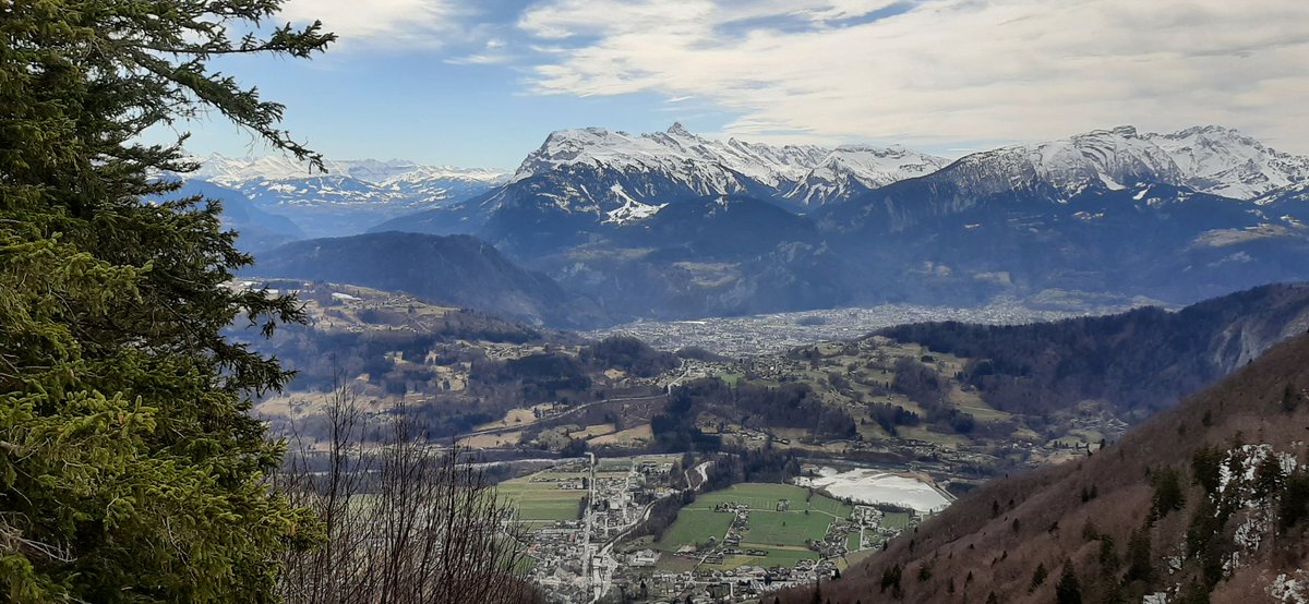 Andre Montaud tweet media