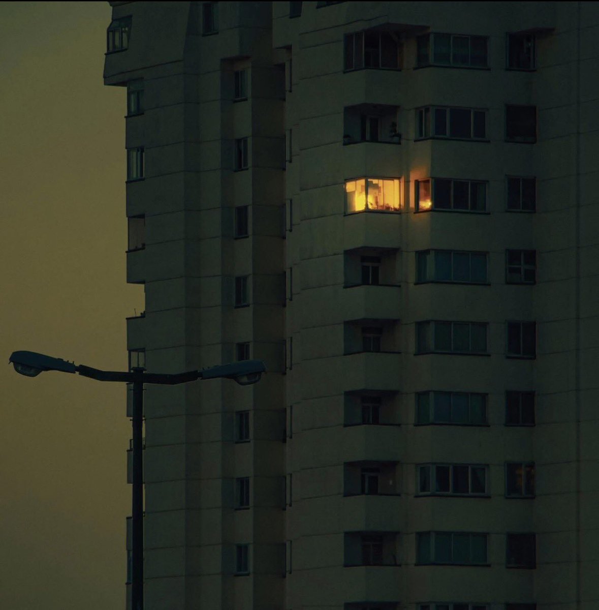 DS 🪝🧬🟧🟦🍌🦍🧪 tweet media