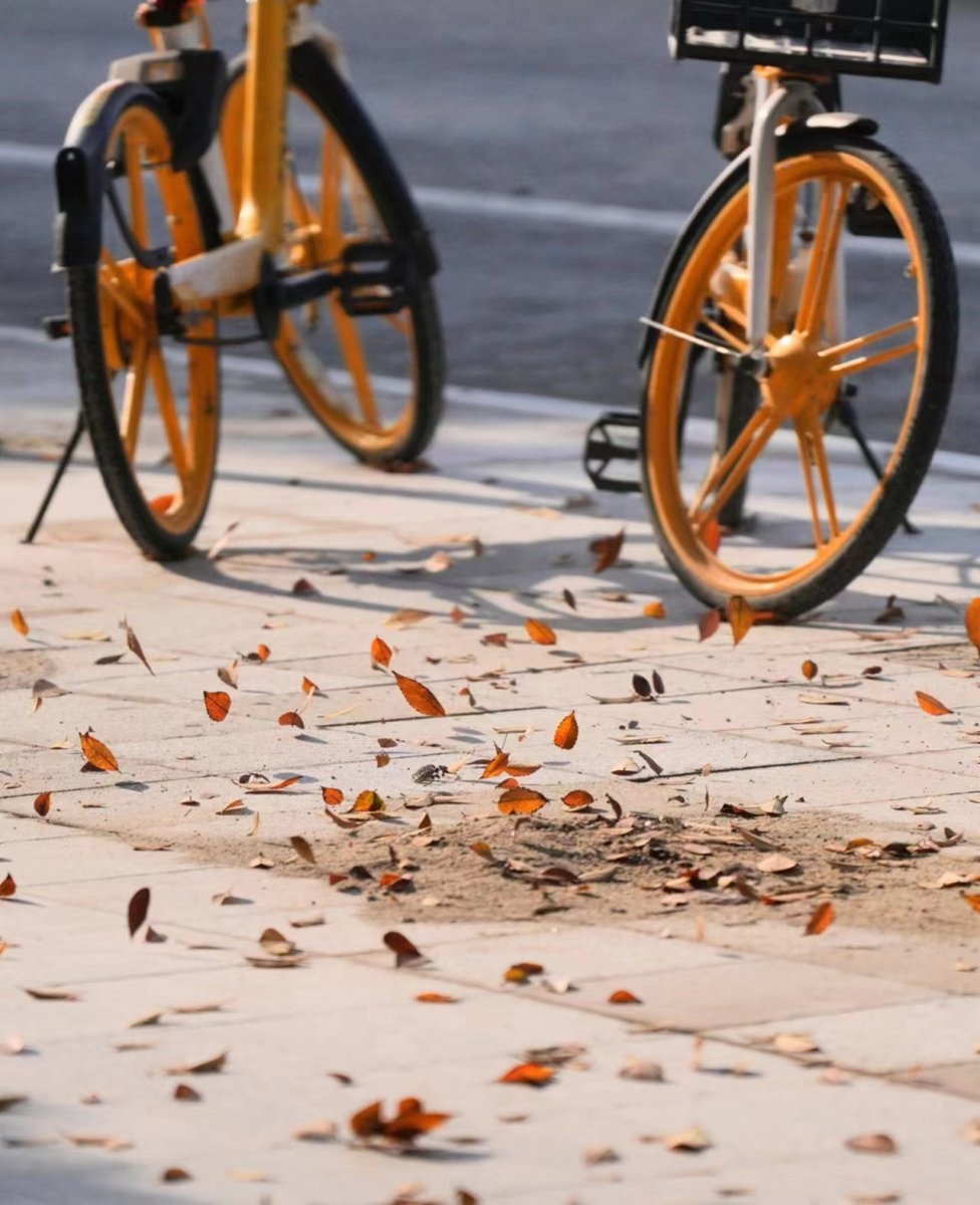 nikkie shaw tweet media