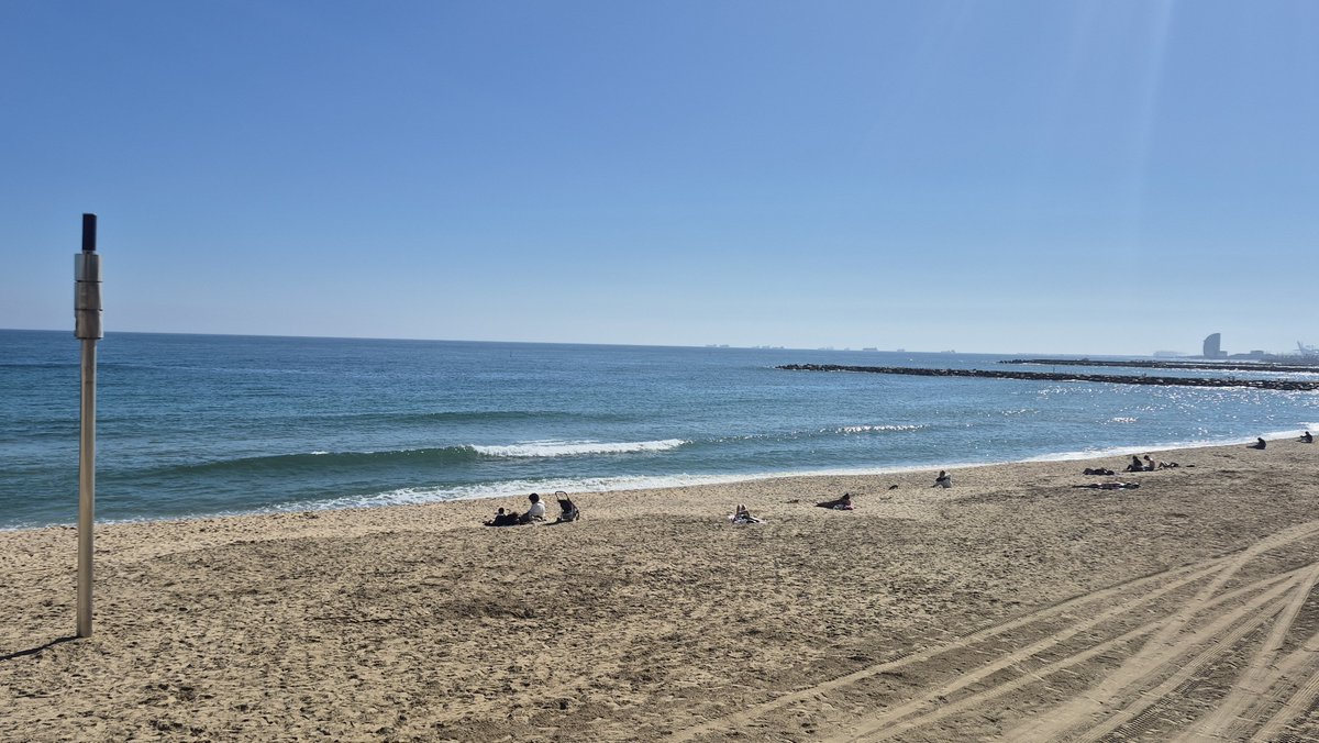 Lee at NFTV tweet media