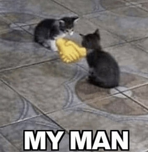 Mr. Jesserman tweet media