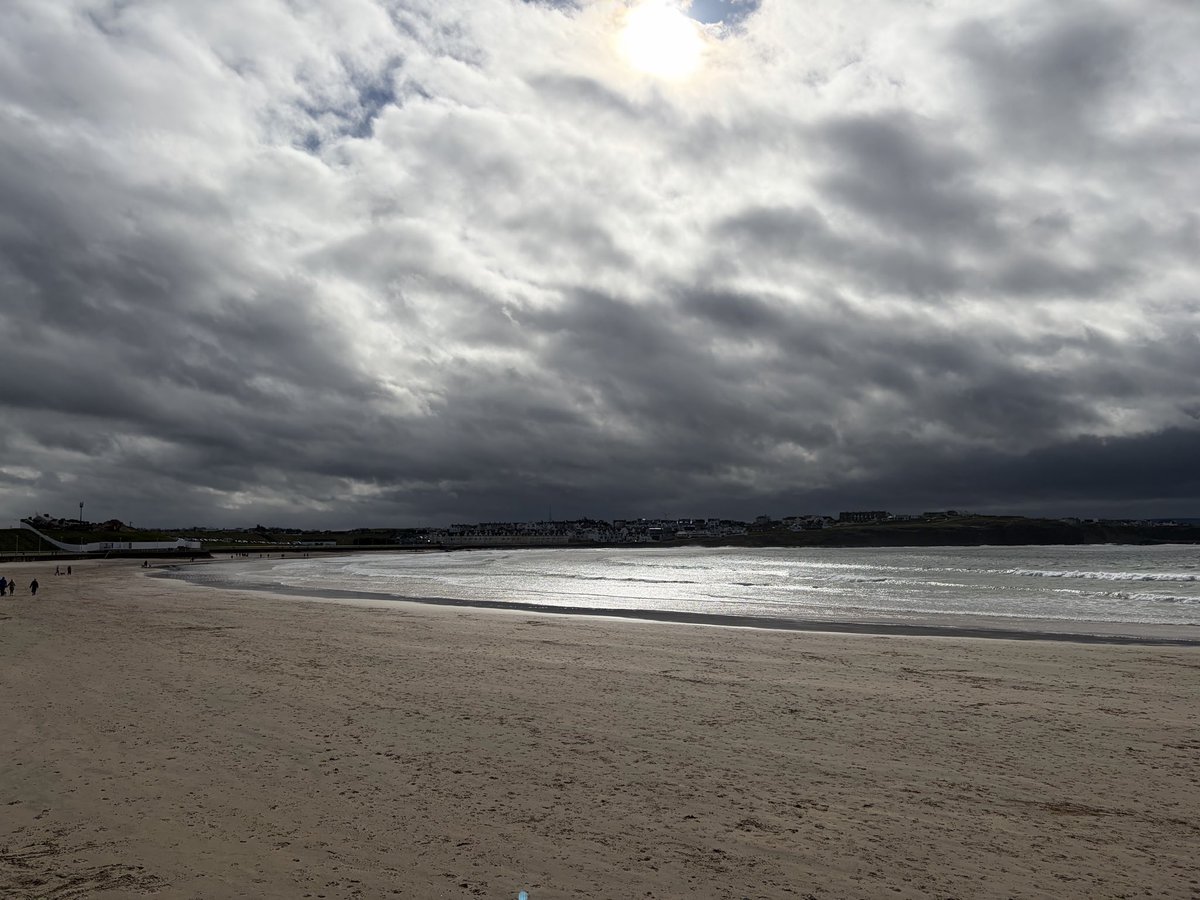 Tweeter of Wit tweet media