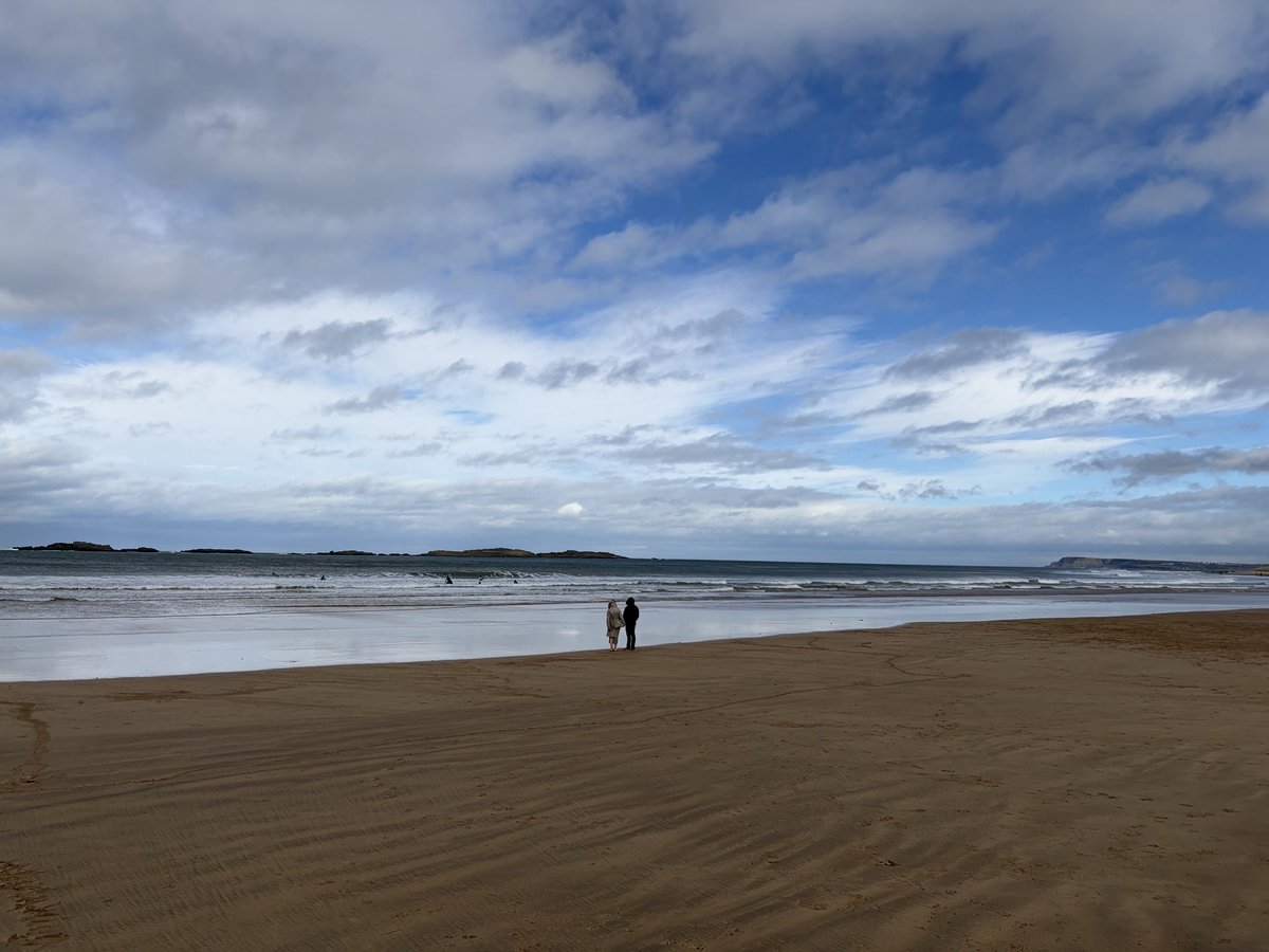 Tweeter of Wit tweet media