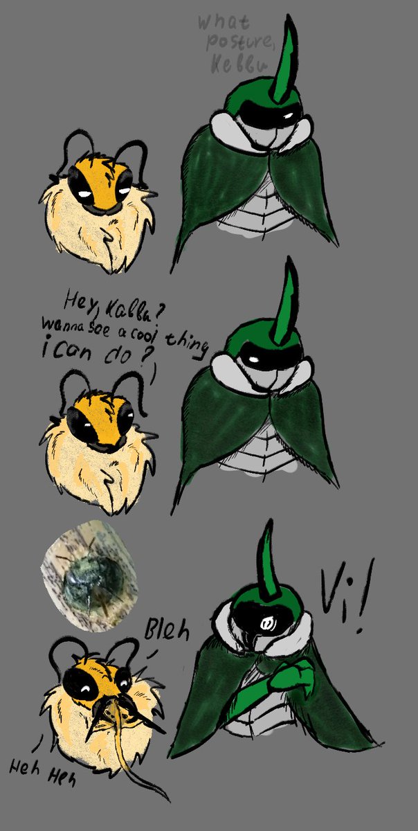 Uchudishe tweet media