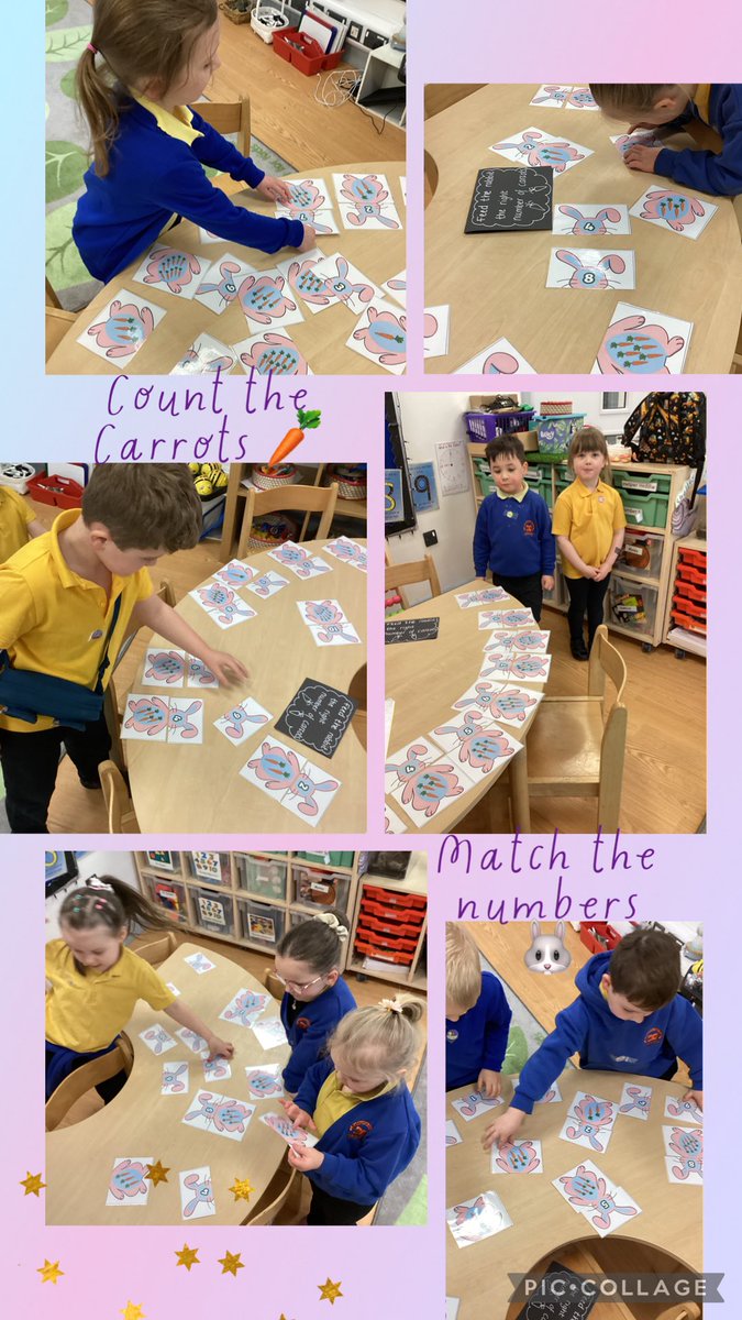 BHVC Primary tweet media