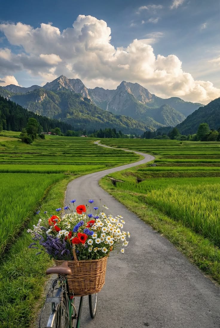 #nature #naturebeauty #greenery #cycling