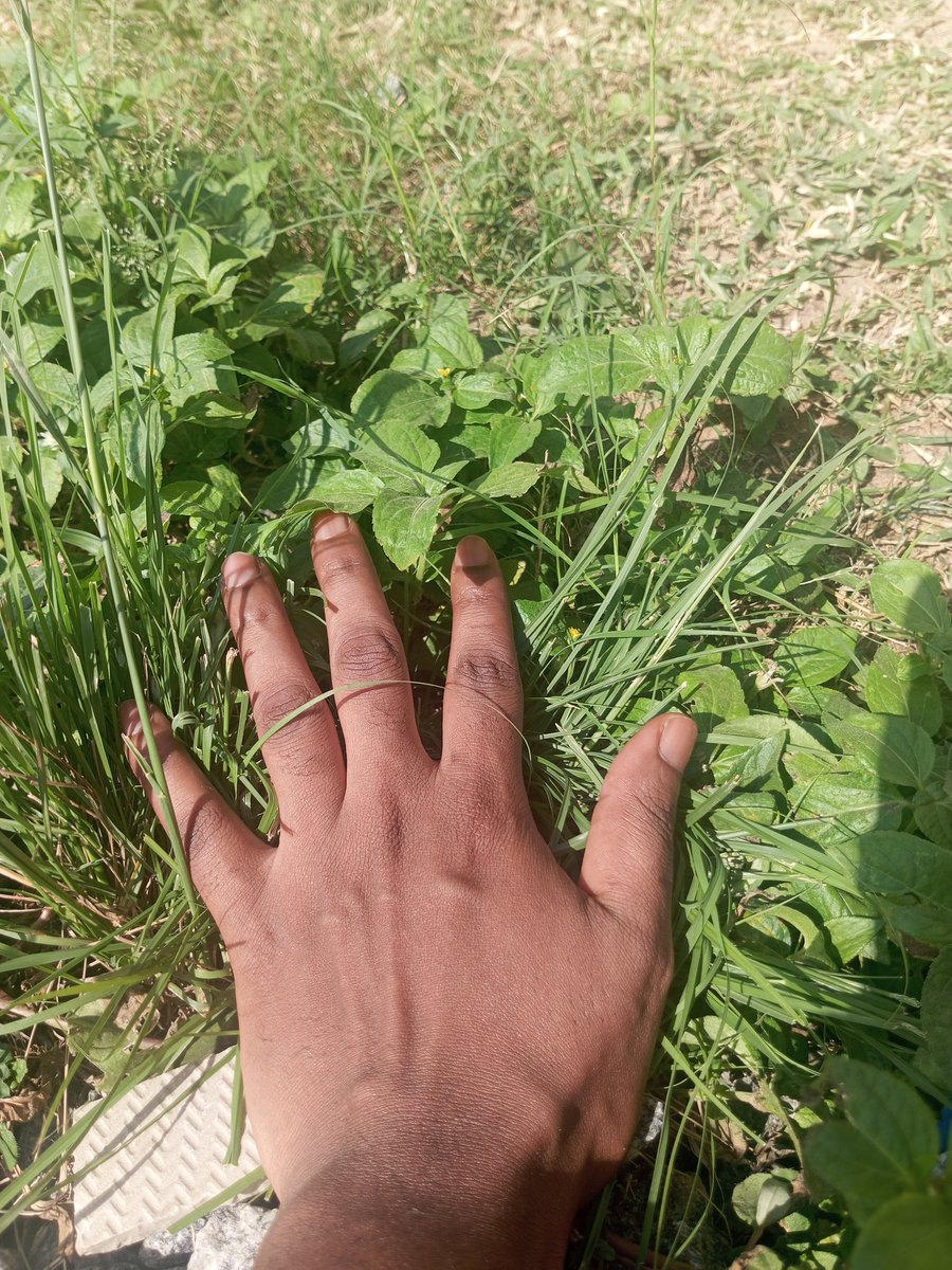 <a href="/Binance_intern/">Binance Intern</a> I survived 
Touching grass 🌿 
@Binance_Intern