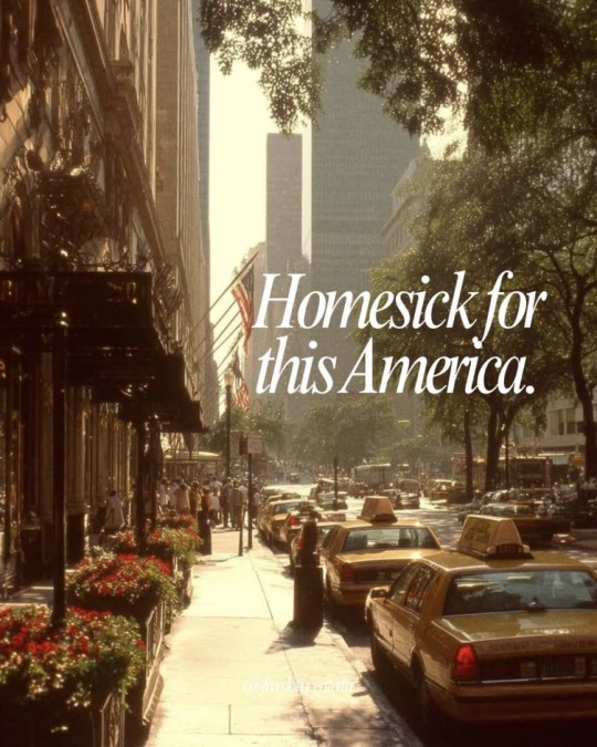 Brown Eyed Susan tweet media