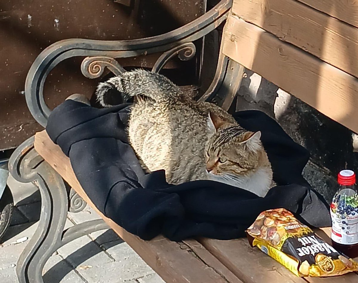 Arzu🇹🇷 tweet media