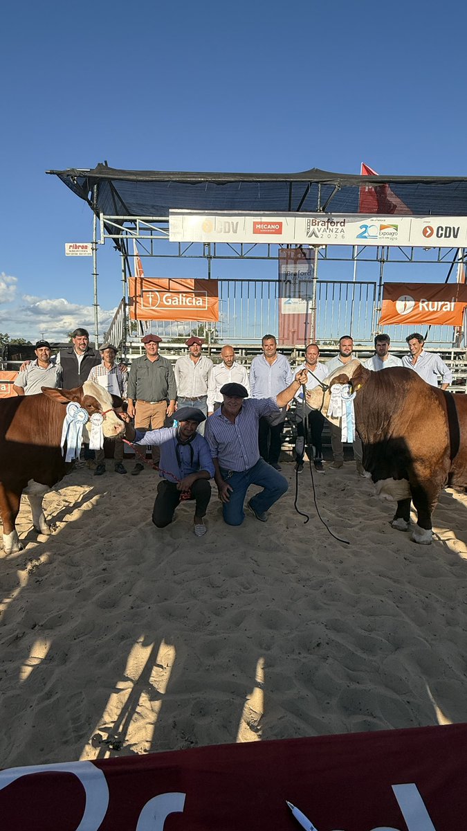 Gustavo Puccini tweet media