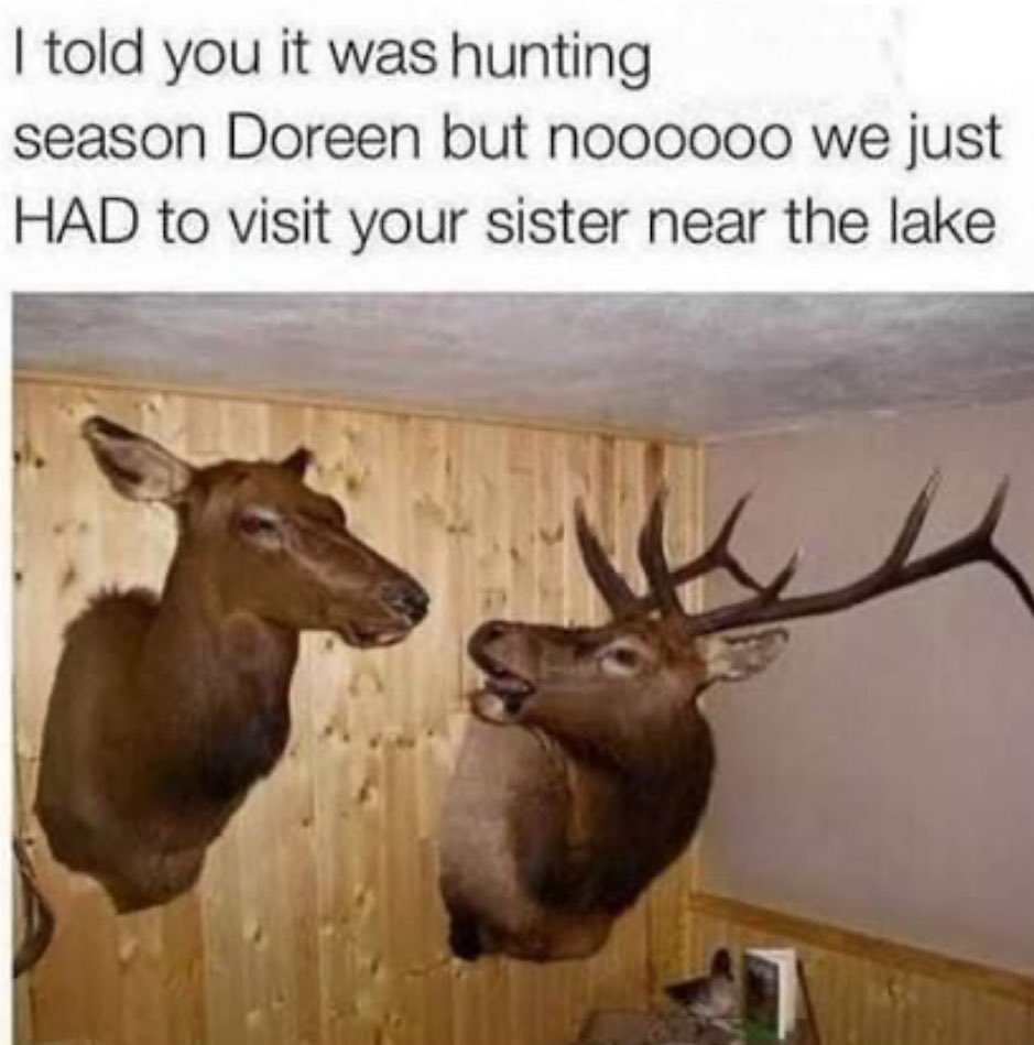 🇺🇸 🦅Simple Man 🦅🇺🇸 tweet media