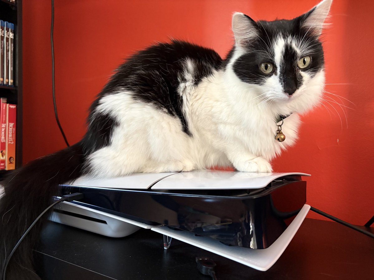 Blake ™ tweet media