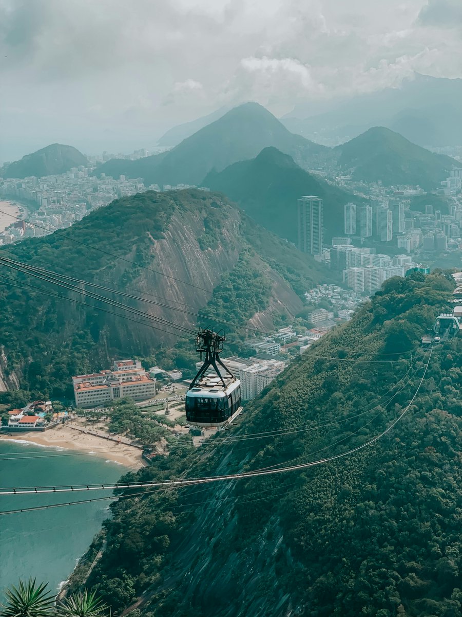 Arlene cruz tweet media