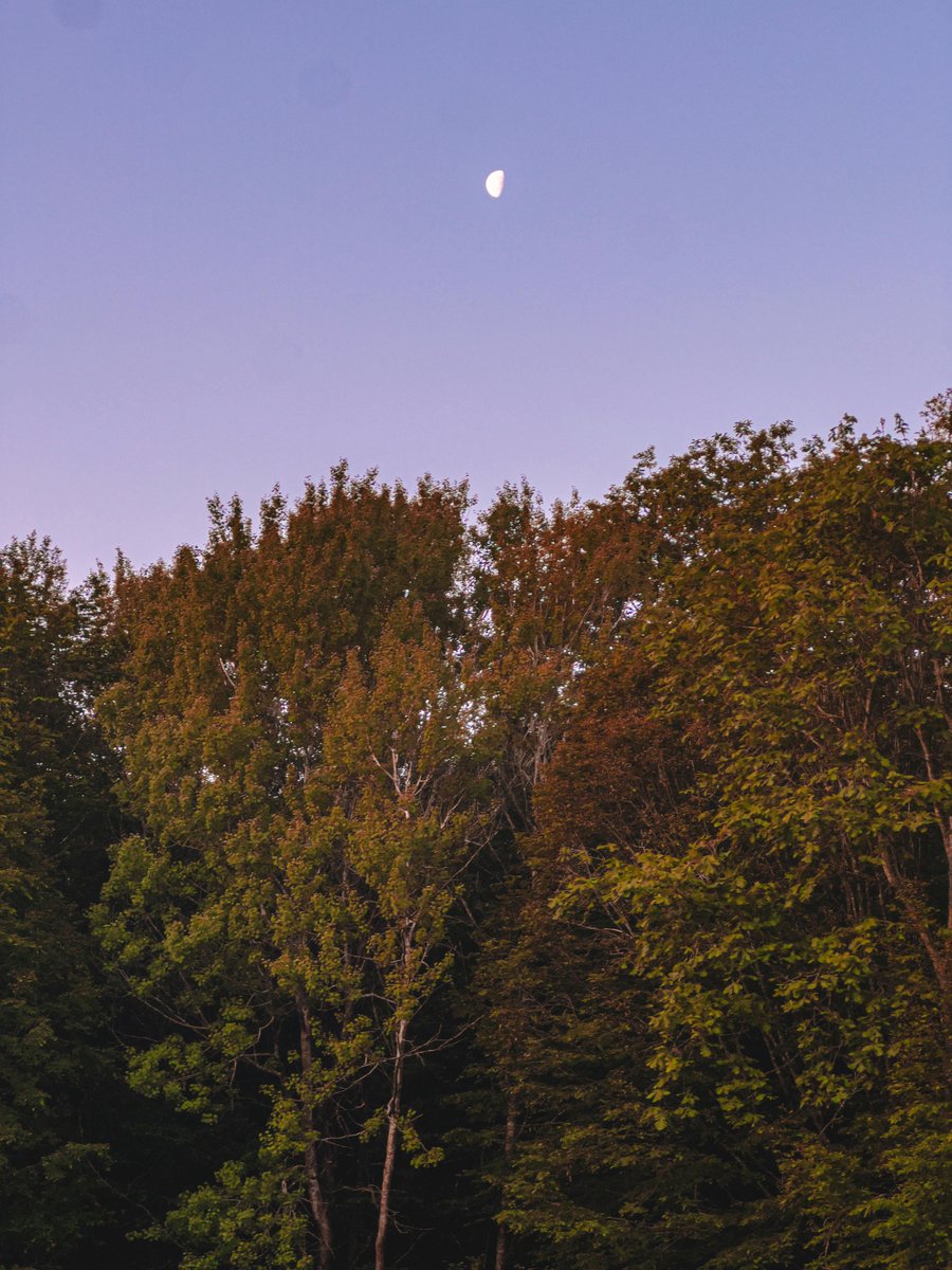 Arlene cruz tweet media