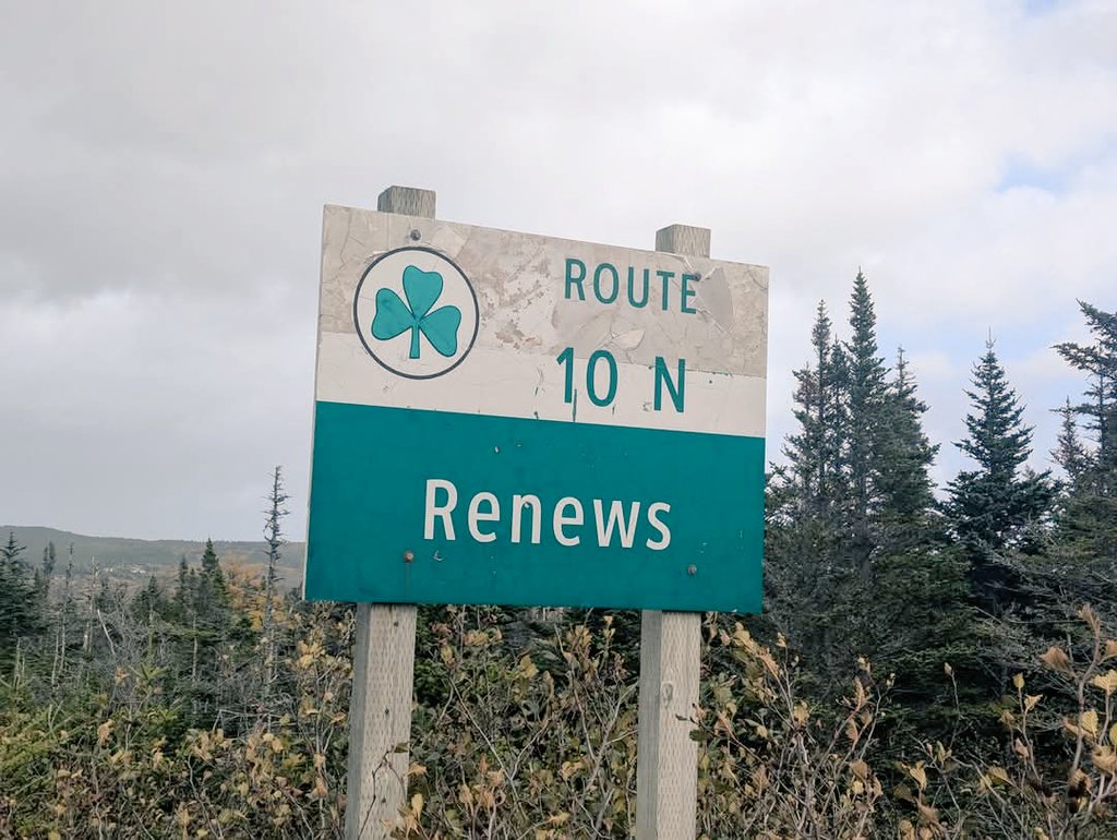 Colin Lane tweet media