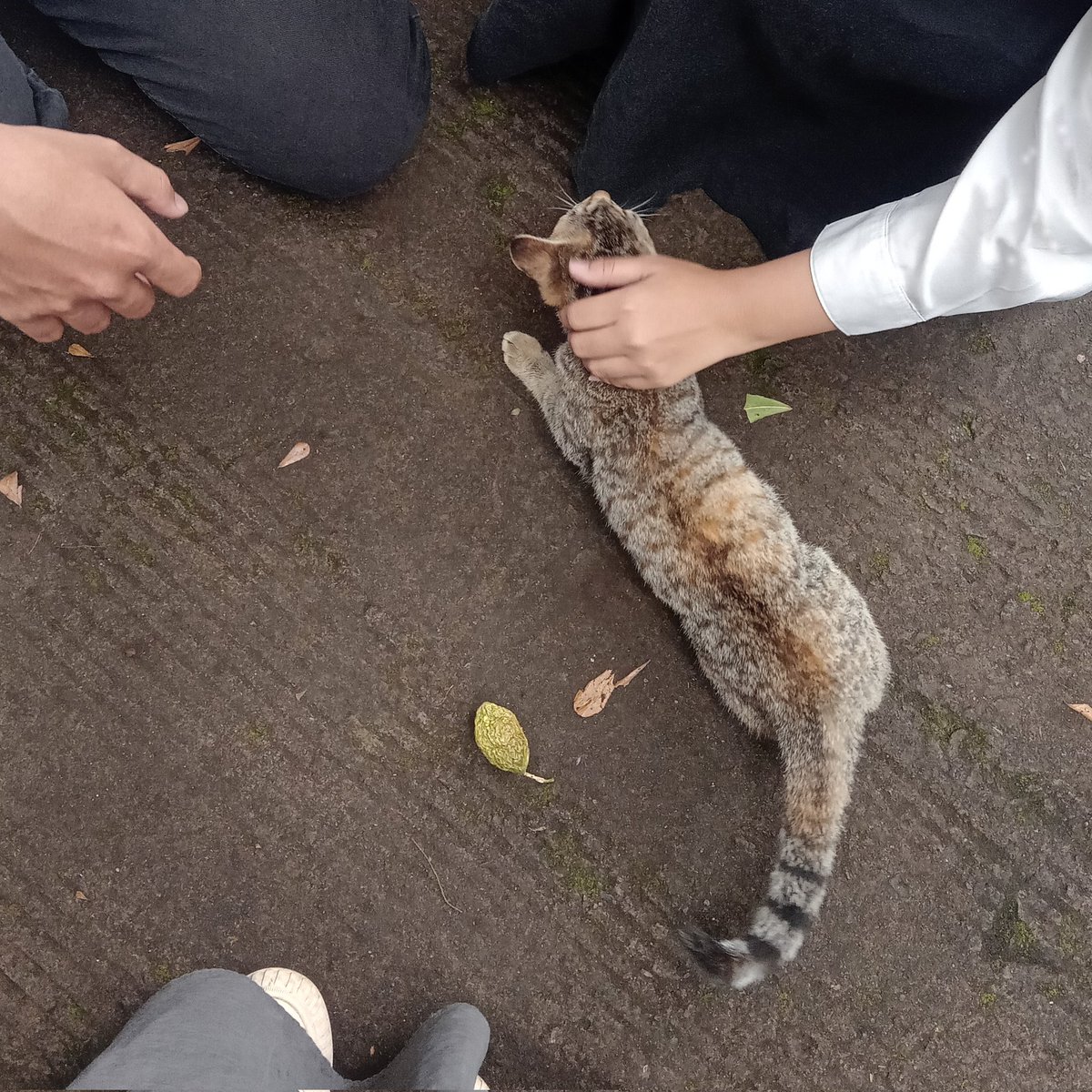 ☆Ai —愛 tweet media