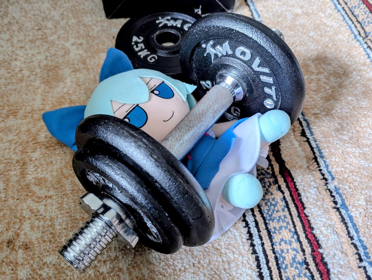 Casual Fumo Enjoyer tweet media