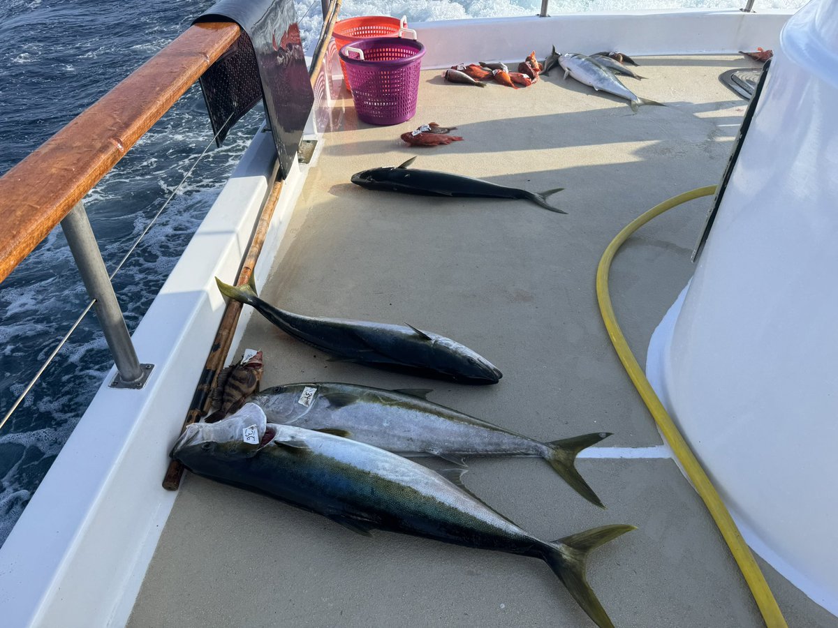 Val Kolesnitchenko, MD tweet media