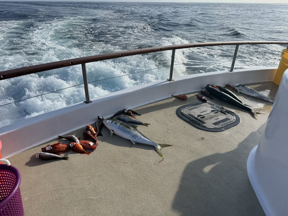 Val Kolesnitchenko, MD tweet media