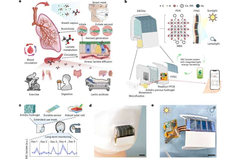 Aller_MD's tweet image. #Exhaled #breath can provide a treasure trove of #health #information, offering a noninvasive window to both #respiratory #microenvironments and #systemic #physiological #states. But collecting such data is a challenge. medicalxpress.com/news/2026-03-s…