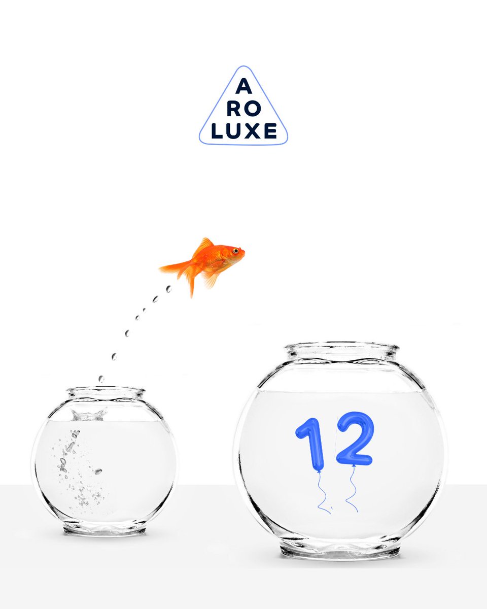 Aroluxe's tweet photo. 12 years of Aroluxe! 🥳 They say a goldfish only grows to the size of its tank—from a startup bowl to a leading full-service agency, we’ve never stopped scaling. Huge thanks to our clients and team for helping us make massive waves. Ready for an even bigger pond! 🌊🐠 https://t.co/ub07qrLuvg