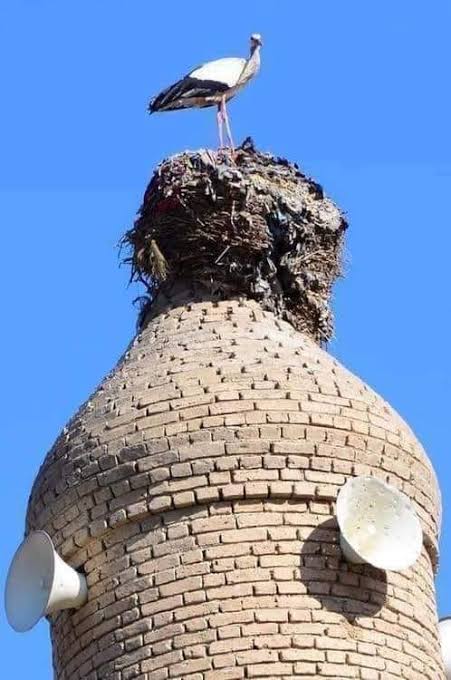 Rusly Al-Maliki 🇮🇶 رسلي المالكي tweet media