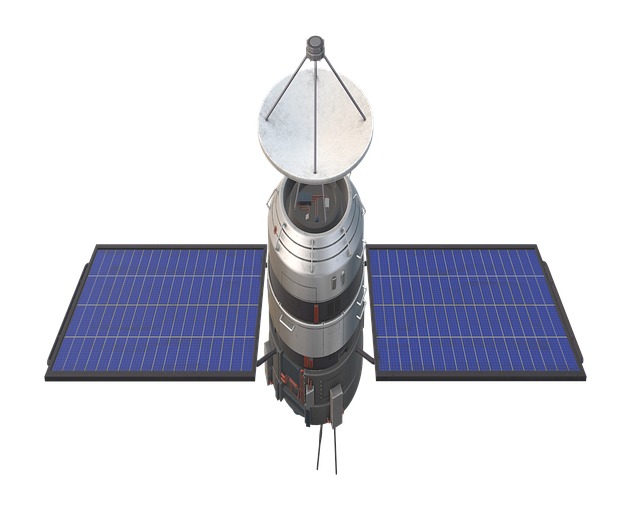 Sabrina Davis tweet media