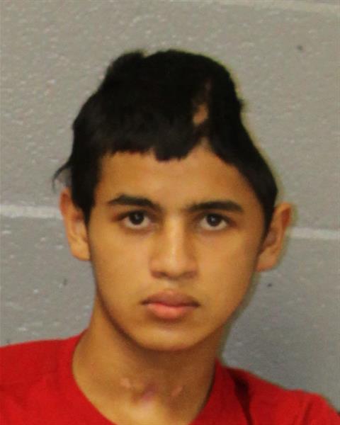 Illegal Alien Crimes tweet media