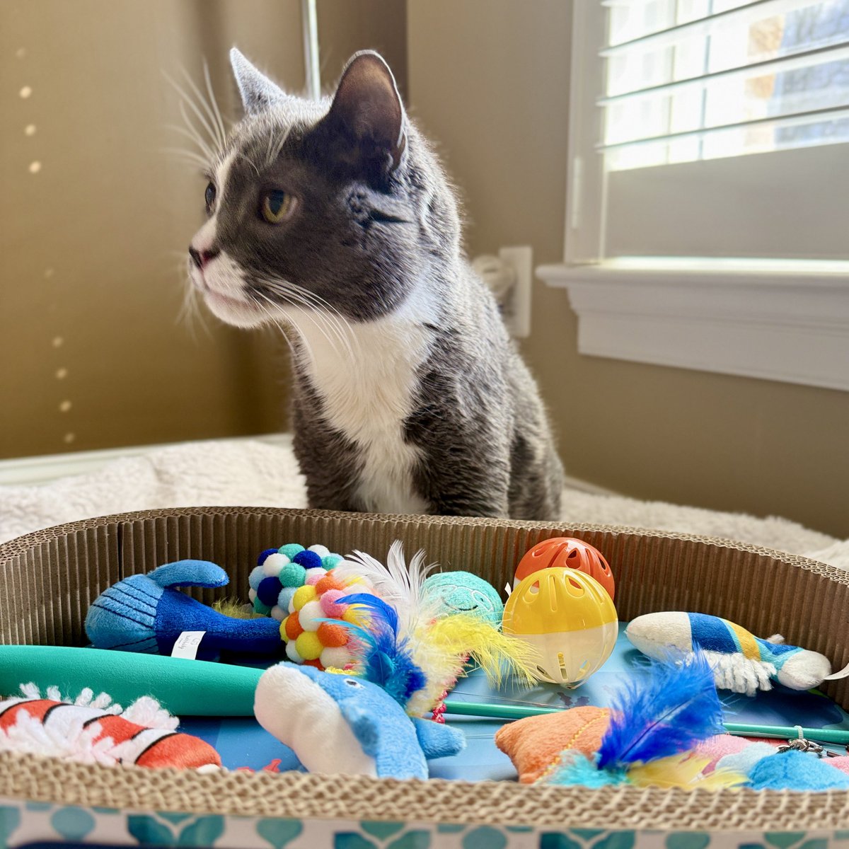 For the love of Missy. tweet media