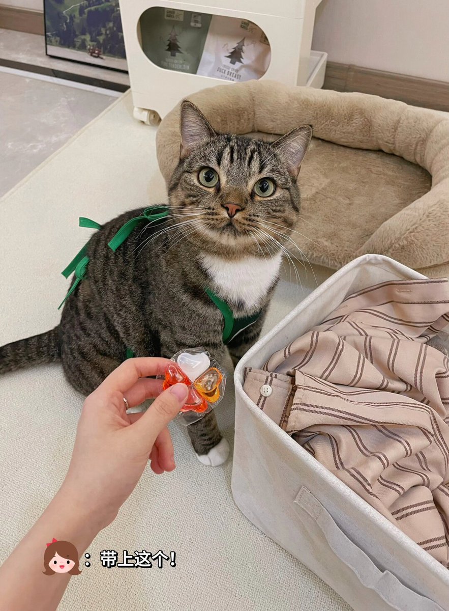 Imarn Alam tweet media