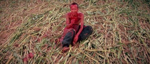 Movie Life tweet media