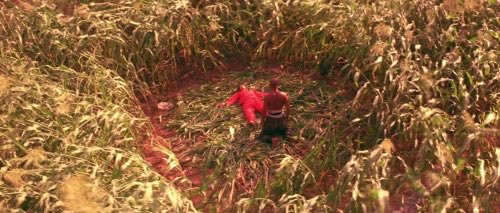 Movie Life tweet media