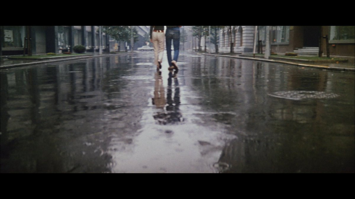 Werner Herzog's missing shoe tweet media