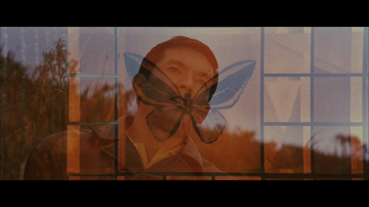 Werner Herzog's missing shoe tweet media