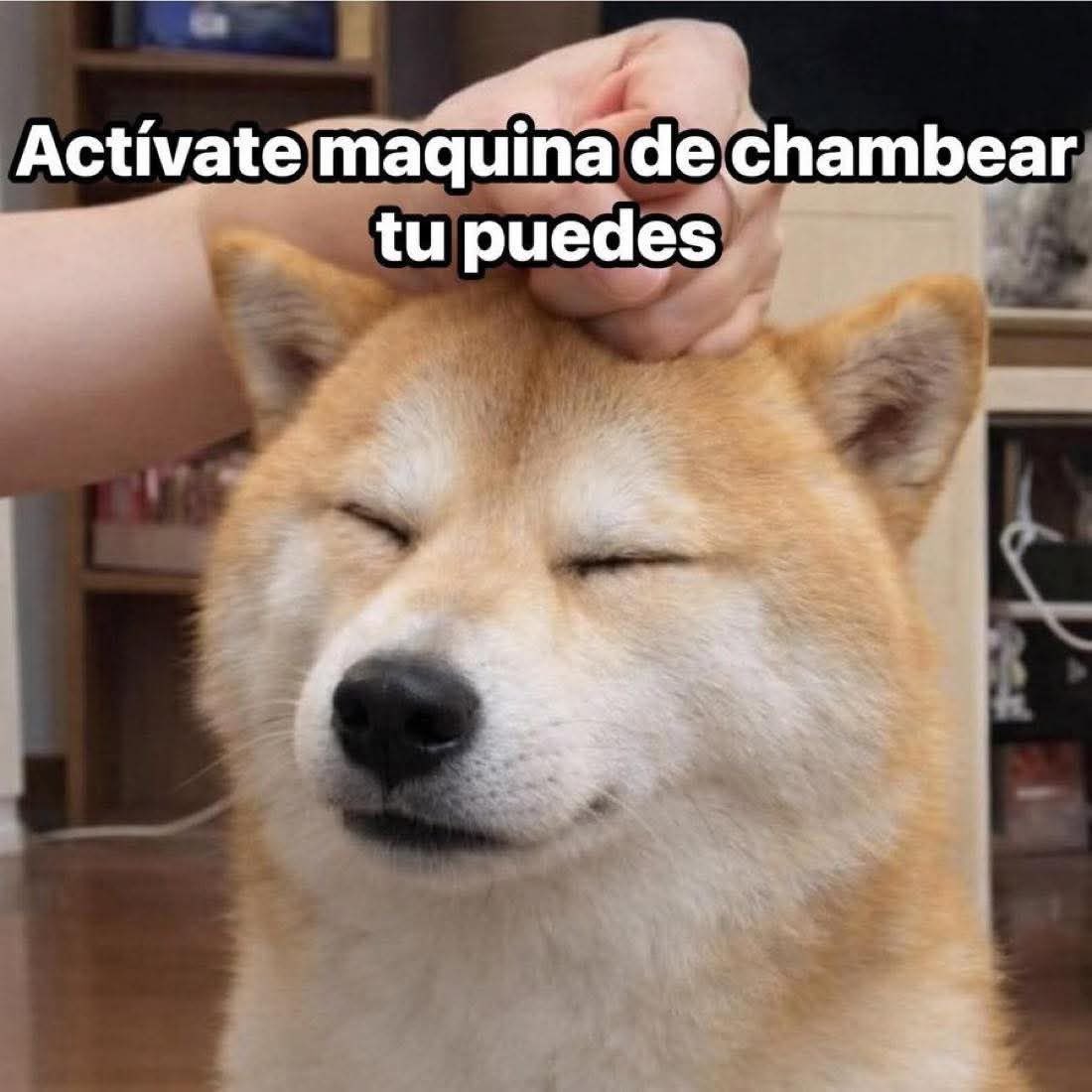 ¡Muy buenos días! ⛅ El equipo de Info QRoo ya está listo para chambear, ¿y tú?