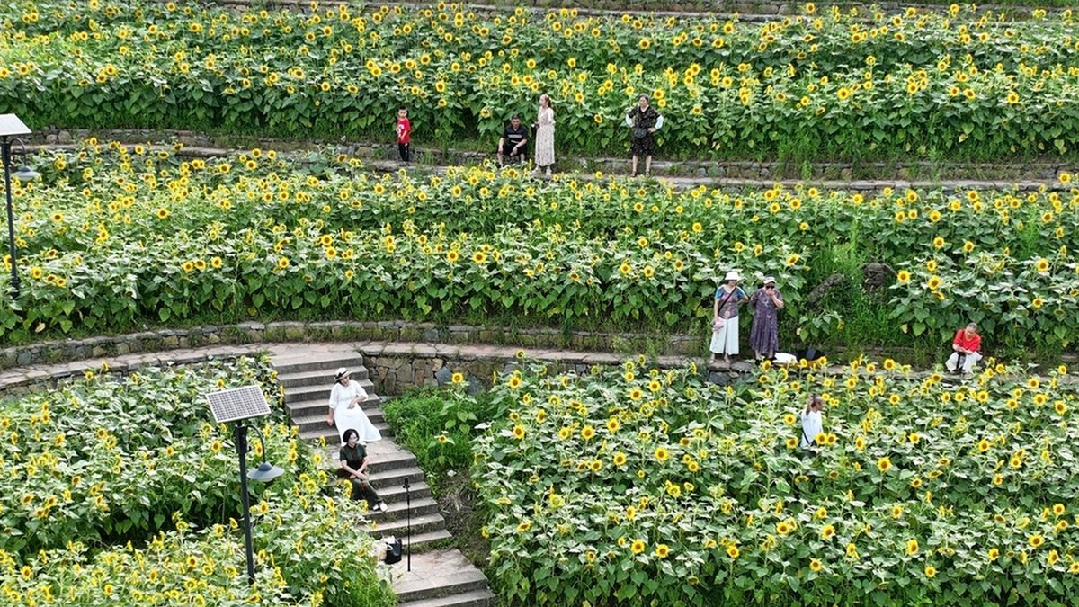 John Anthony tweet media