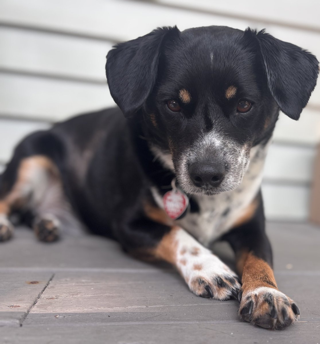 Total Disclosure Podcast tweet media