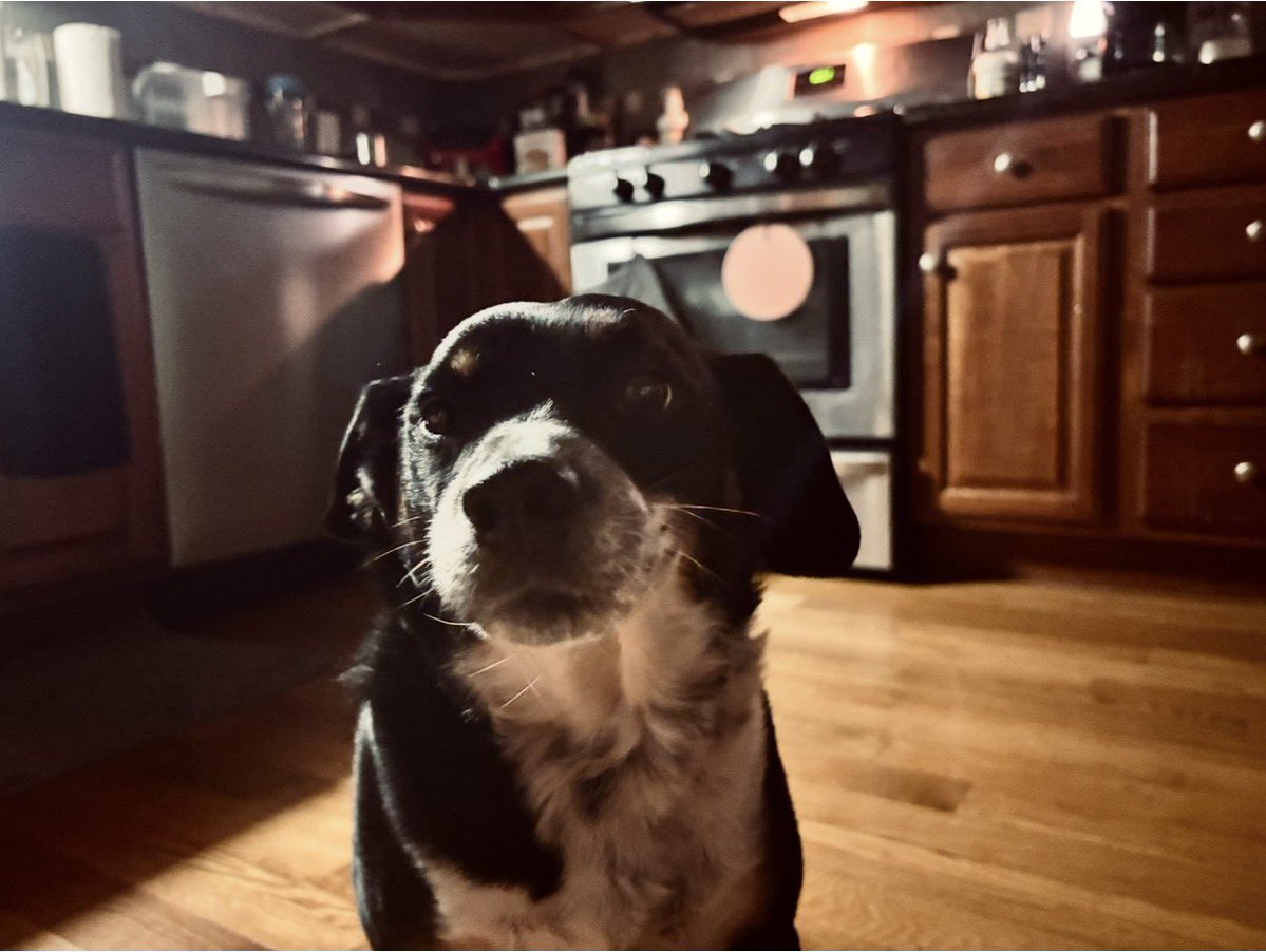 Total Disclosure Podcast tweet media