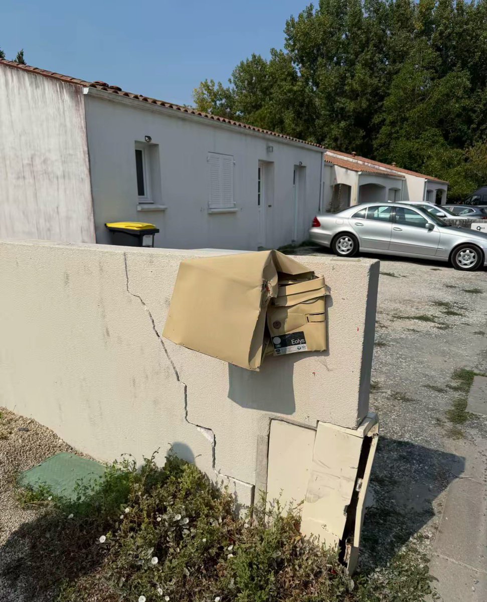 🇵🇸 tweet media