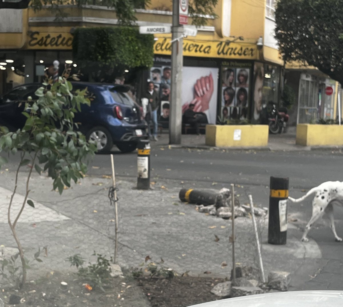 Del Valle Reportes tweet media