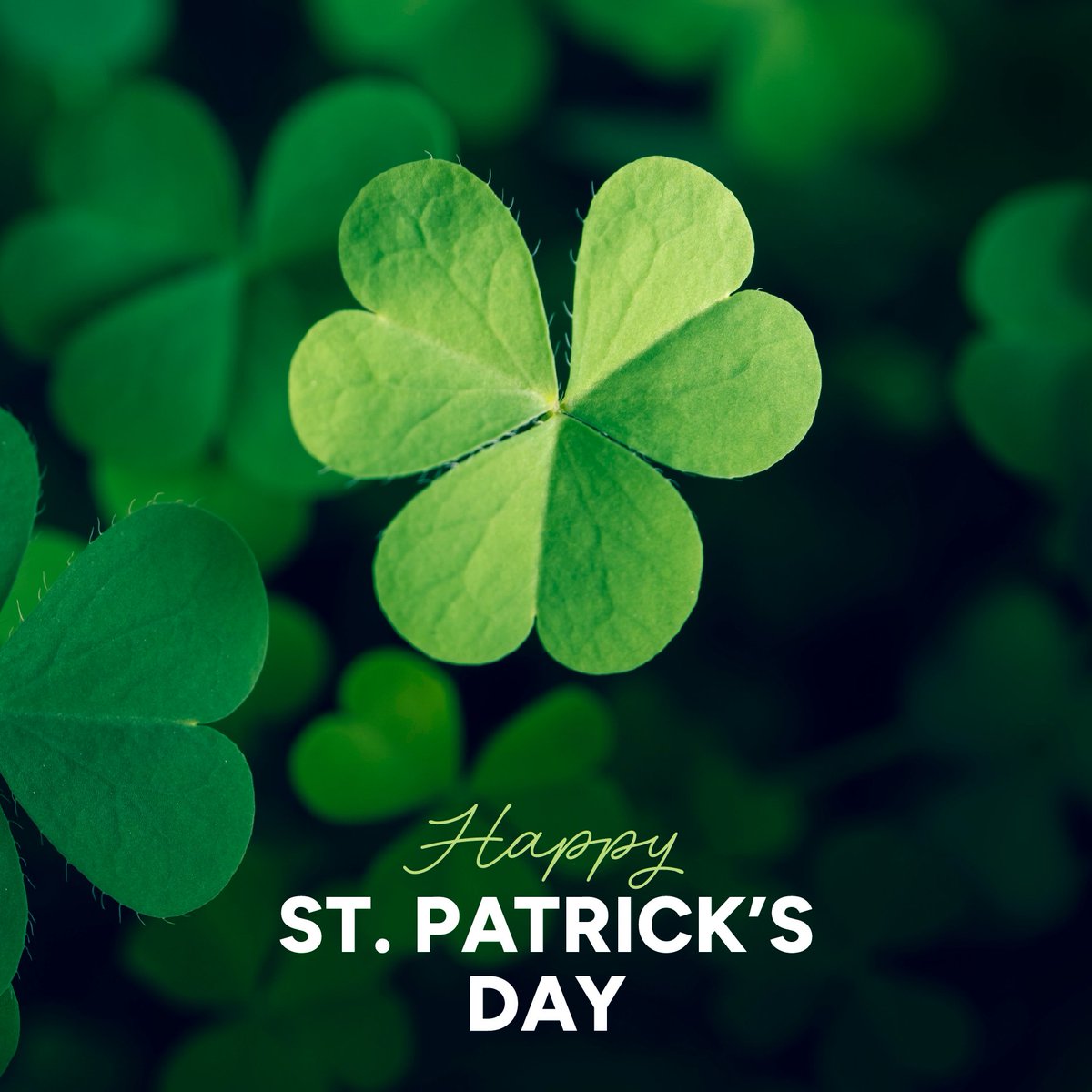 Illinois House Republicans tweet media