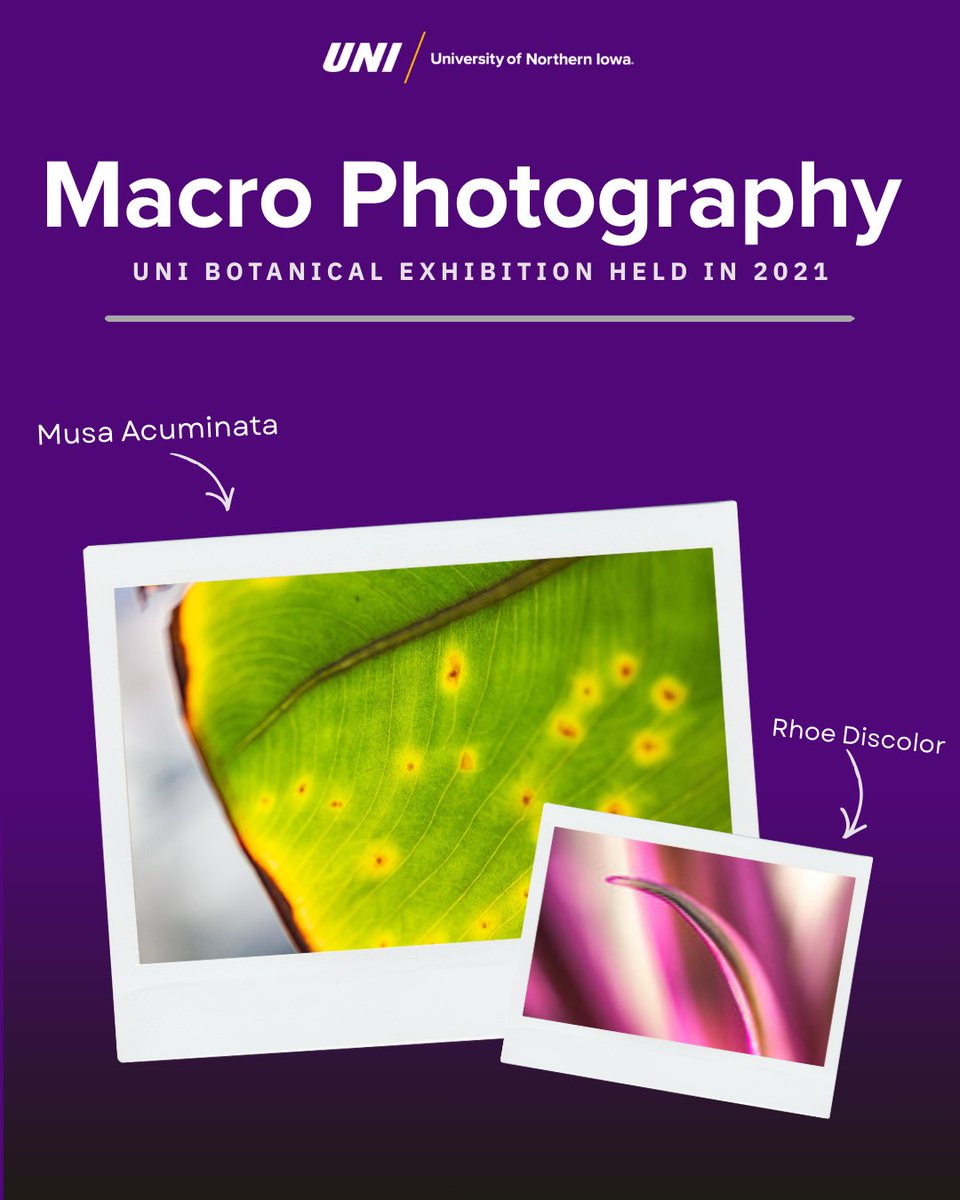 Rod Library tweet media