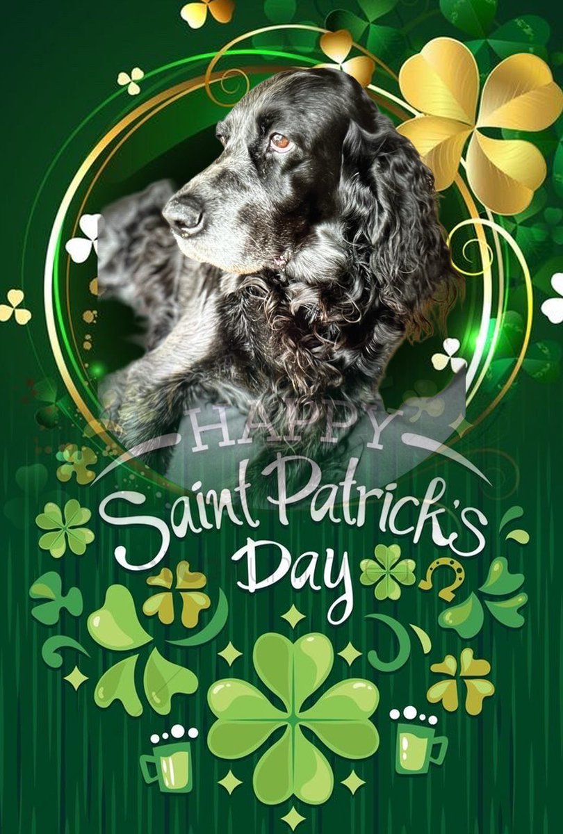 Chrystal Mattacks tweet media